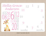 Giraffe Girl Milestone Pink Gray Floral Monthly Baby Blanket Milestone Blanket  Personalized Baby Shower Gift B1099
