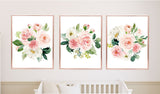 Blush Pink Floral Baby Girl Nursery Bedding Collection Set: Crib Sheet,16x16 Throw Pillow,30x40 Minky Blanket,3(11x14) Wall Art