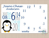 Milestone Blanket Boy Penguins Monthly Baby Blanket Milestone Blanket Boy Photo Prop Personalized Baby Shower Gift Navy Blue B644-Sweet Blooms Decor