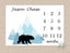 Bear Mountains Milestone Blanket Monthly Growth Tracker Baby Boy Blanket Forest Trees Woodland Adventure Awaits Bedding Shower Gift B462