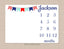 Boy Milestone Blanket Monthly Blanket Baby Growth Tracker Red Navy Blue Teal Flags Bunting Nautical Newborn Baby Shower Gift B975