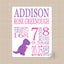 Dinosaur Baby Girl Name Blanket Personalized Birth Announcenent Purple Pink Birth Stats Baby Shower Gift Nursery Bedding Decor 614