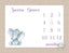 Elephant Milestone Blanket Girl Purple Gray Watercolor Personalized Monthly Tracking Elephants Nursery Decor Baby Shower Gift Growth  B361
