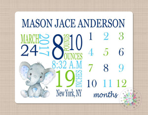 Elephant Milestone Blanket Monthly Growth Tracker Blue Green Elephant Personalized Baby Boy Blanket Name Monogram Nursery Decor Bedding B271