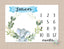 Elephant Milestone Blanket Monthly Growth Tracker Elephant Monthly Baby Blanket Watercolor Wreath Name Boy Elephants Nursery Decor Gift B639