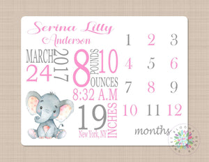 Elephant Milestone Blanket Monthly Growth Tracker Pink Gray Elephant Personalized Baby Girl Blanket Name Monogram Nursery Decor Bedding B262