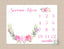 Girl Milestone Blanket Pink Floral Monthly Growth Tracker  Personalized Newborn Baby Girl Watercolor Flowers Blanket Baby Shower Gift B372