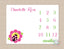 Ladybug Milestone Blanket Pink Green Lady Bug Monthly Growth Tracker Blanket Personalized Baby Girl Bedding Shower Gift  B369