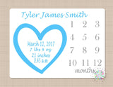 Milestone Blanket Baby Boy  Blue Gray Hearts Monthly Personalized Blanket Girl Birth Announcement Baby Name Monthly Growth Tracker B219