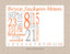Milestone Blanket Baby Boy Girl Birth Announcement Stats Monthly Growth Tracker Personalized Newborn Orange Gray Nursery Shower Gift B972