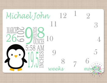 Milestone Blanket Boy Penguins Monthly Baby Blanket Milestone Blanket Boy Photo Prop Personalized Baby Shower Gift Mint Green B646-Sweet Blooms Decor