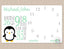 Milestone Blanket Boy Penguins Monthly Baby Blanket  Milestone Blanket Boy Photo Prop Personalized Baby Shower Gift Mint Green B646