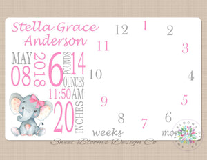 Milestone Blanket Elephant Monthly Blanket Personalized Baby Girl Growth Tracker Birth Announcement Birth Stats Baby Shower Gift B387-Sweet Blooms Decor