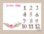 Milestone Blanket Pink Floral Baby Girl  Monthly Growth Tracker Pink Flowers Monogram Blanket Newborn Baby Girl Name Baby Shower Gift  B223