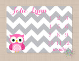 Owls Milestone Blanket Baby Girl Pink Gray Chevron Personalized Name Blanket Monthly Growth Tracker Newborn Blanket Baby Shower Gift 610