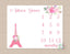 Paris Milestone Blanket Eiffel Tower Pink Flowers Monthly Growth Tracker Personalized Newborn Baby Girl Shower Gift Nursery Bedding B378