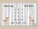 Twins Deer Milestone Blanket Girl Boy Personalized Monthly Baby Shower Gift Growth Tracker Photo Prop Blanket Woodland Gray Birch Gift B568-Sweet Blooms Decor