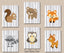 Woodland Animals Nursery Wall Art Forest Animals Baby Boy Bedroom Decor Gray Birch Trees Bear Raccoon Fox Deer Owl   C490